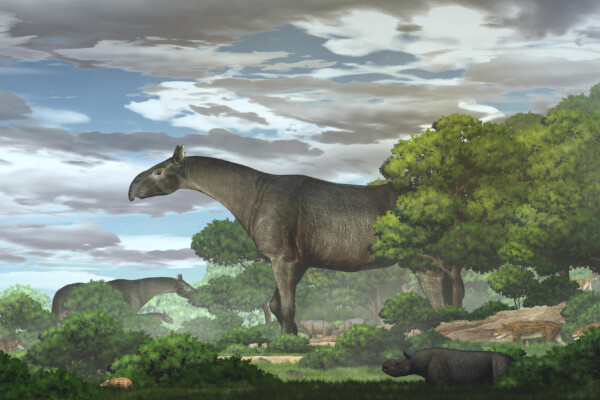 Giant rhino