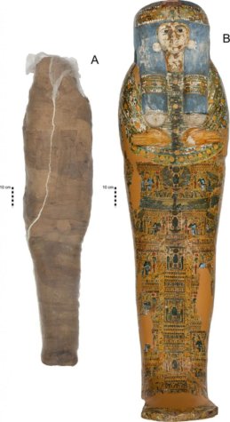 Mummified coffin at Chau Chak Wing Museum