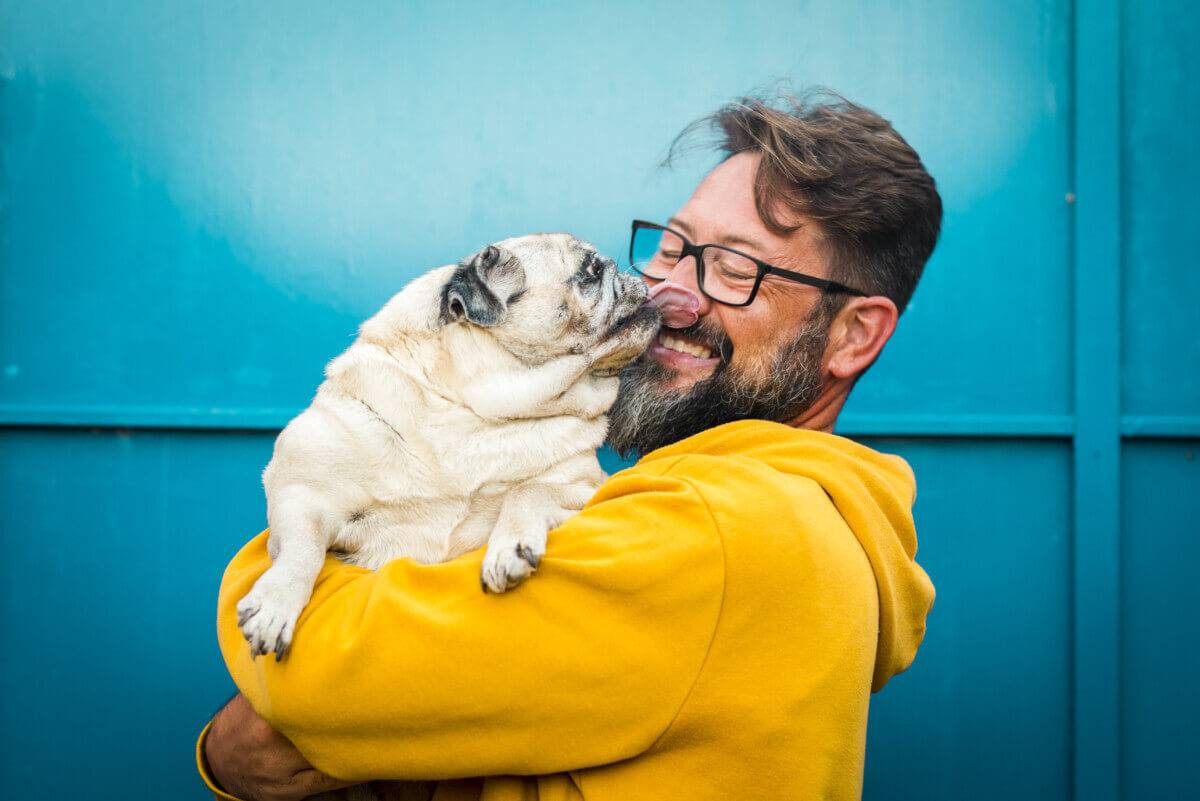 My best friend dog concept with funny scene adult man with beard and pug dog kissing him on the face – people and animals have fun and love together in friendship