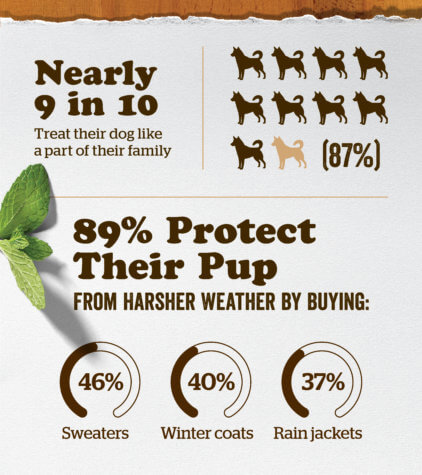 Pet meals
