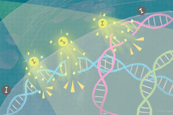 X-rays tumor cells study