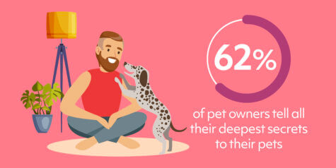 pet companions