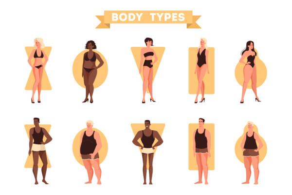 Body shapes and types