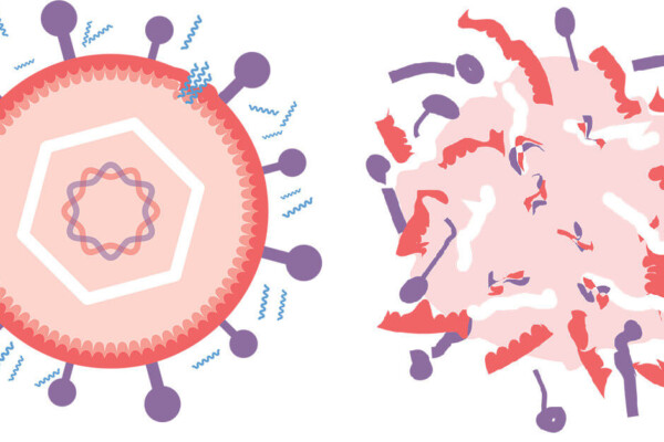 Viral solution to STDs