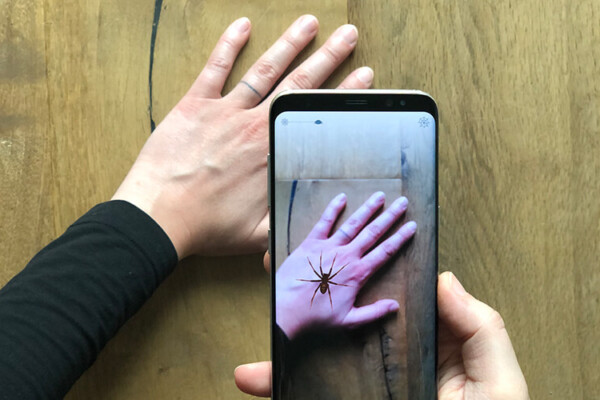 Hand Phobys spider