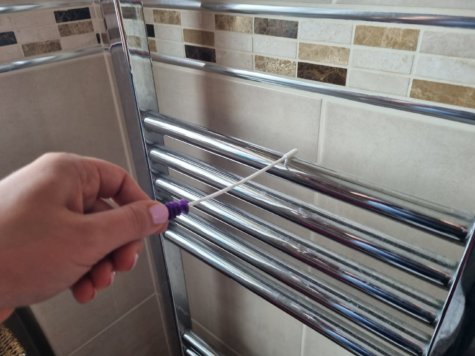 Rointe swab experiment