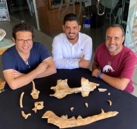 From left: Mohamed Sameh, Abdullah Gohar and Hesham Sallam.