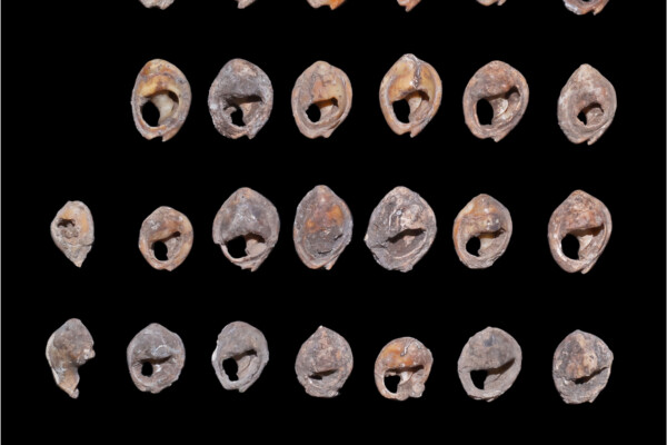 Ancient jewelry