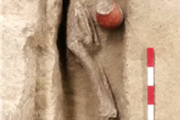 Ancient beer discovery