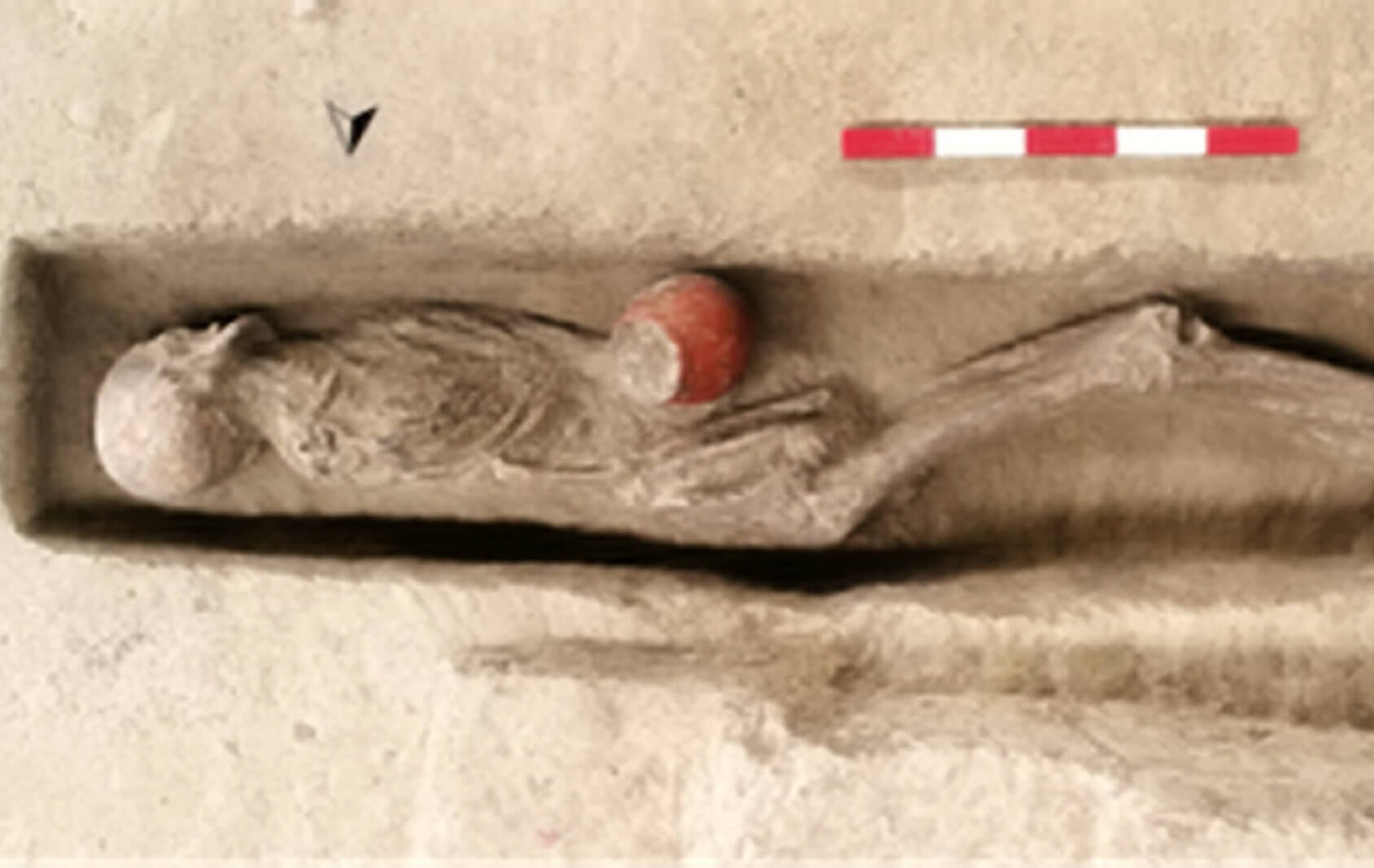 Ancient beer