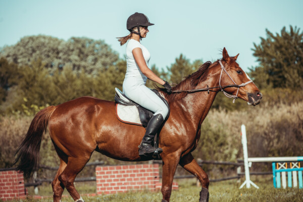 Woman horseback riding