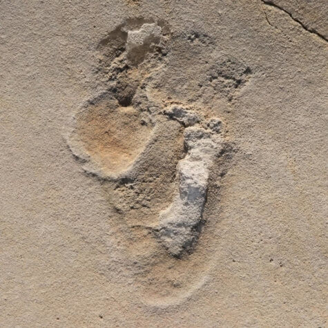 Human footprint