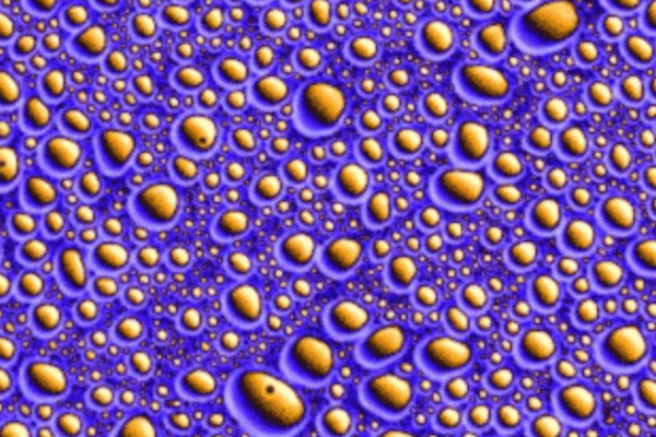 Proliferating peptide droplet.