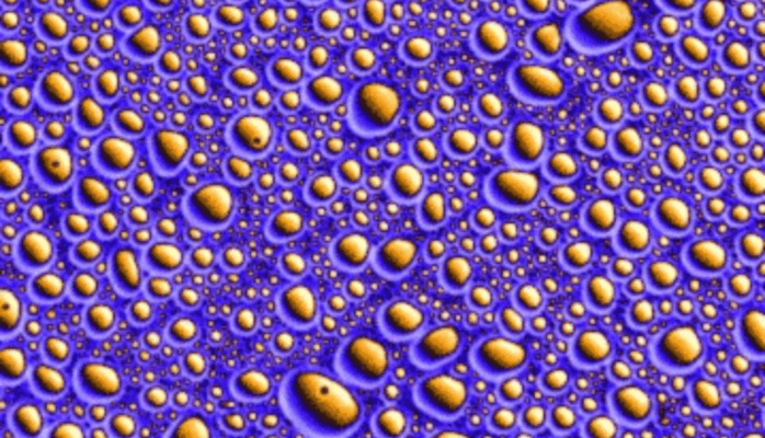 Proliferating peptide droplet.