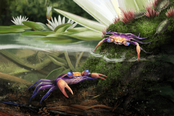 Ancient crab portrayal