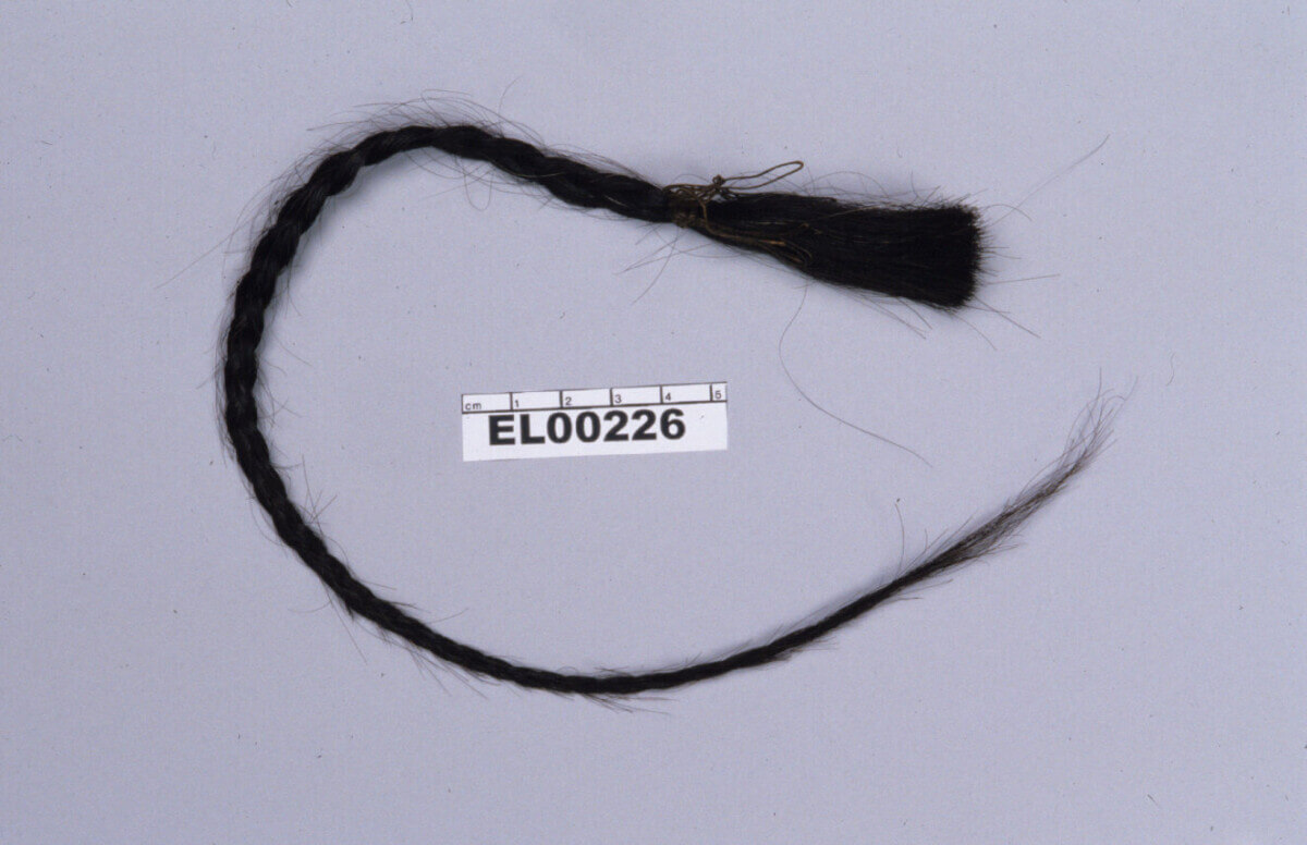 Sitting Bull’s scalp lock.