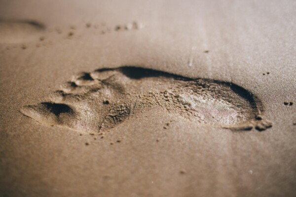 footprint