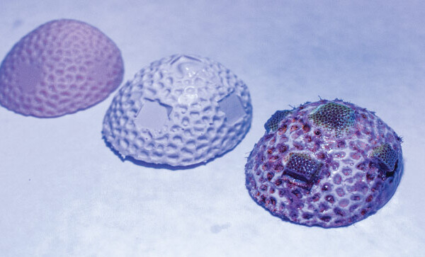 3D coral