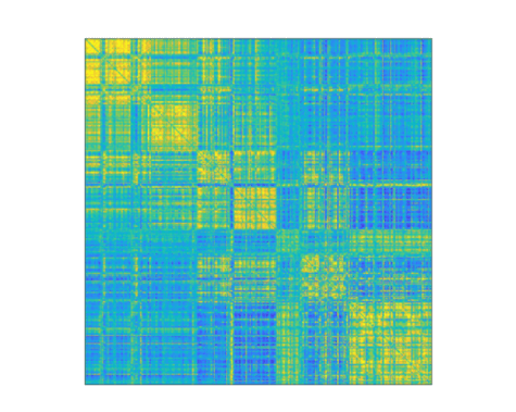 Brain "fingerprint" study