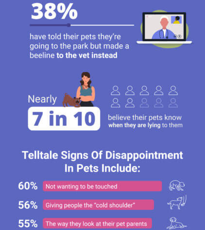 pet guilt