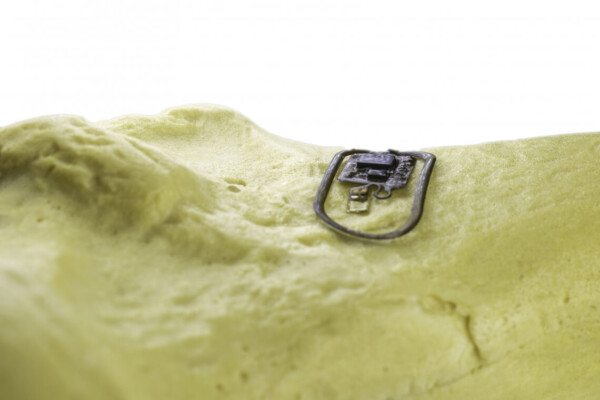 bone microchip