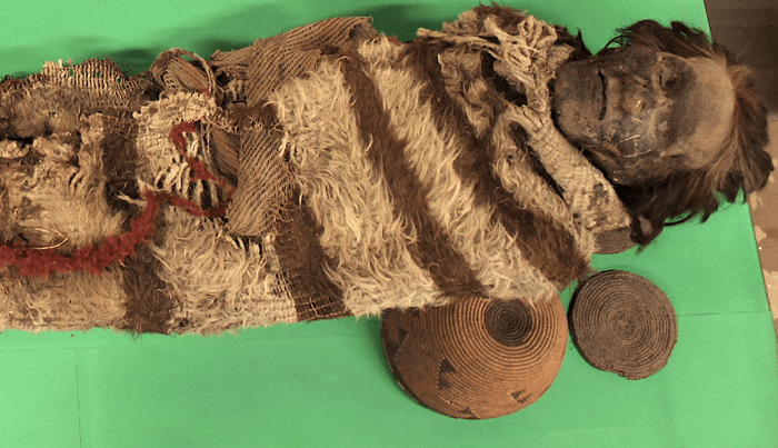 2,000-year adult mummy