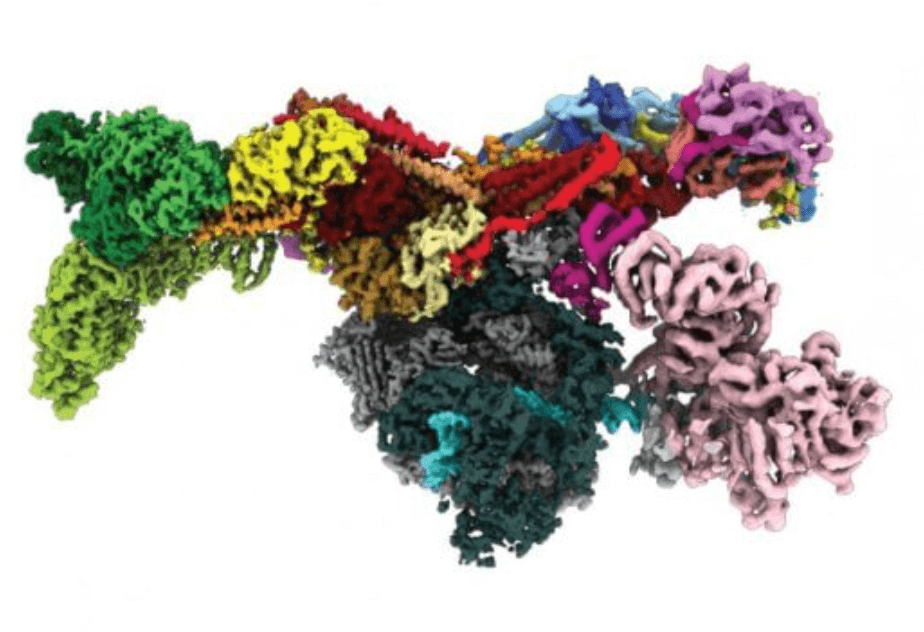 Med-PIC Complex