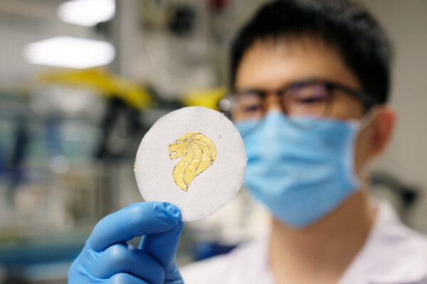 Biodegradable zinc batteries