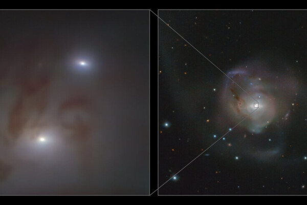 Black holes