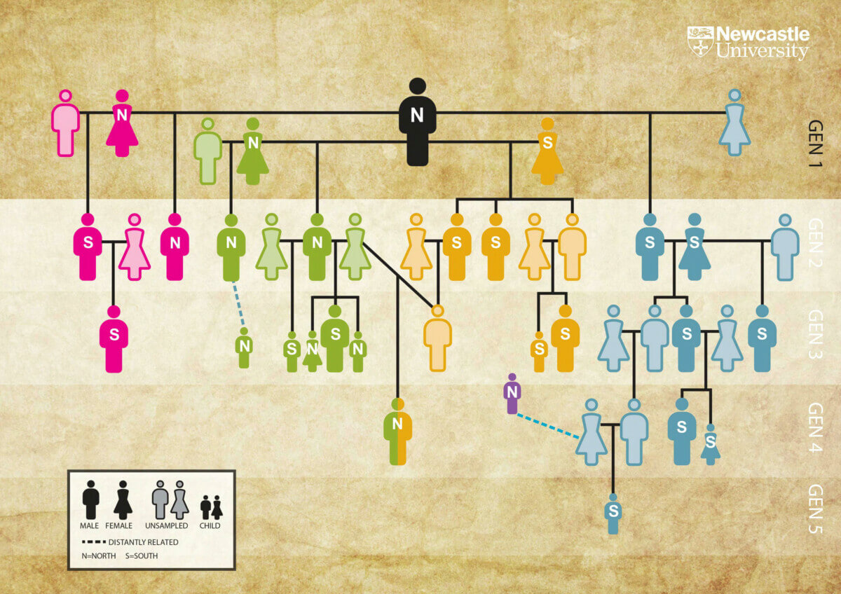 Hazleton family tree.