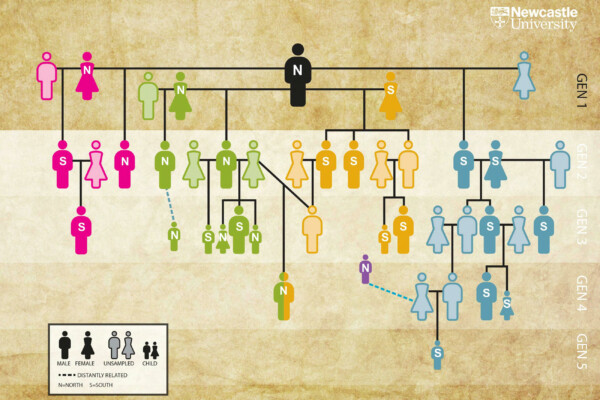 Hazleton family tree.