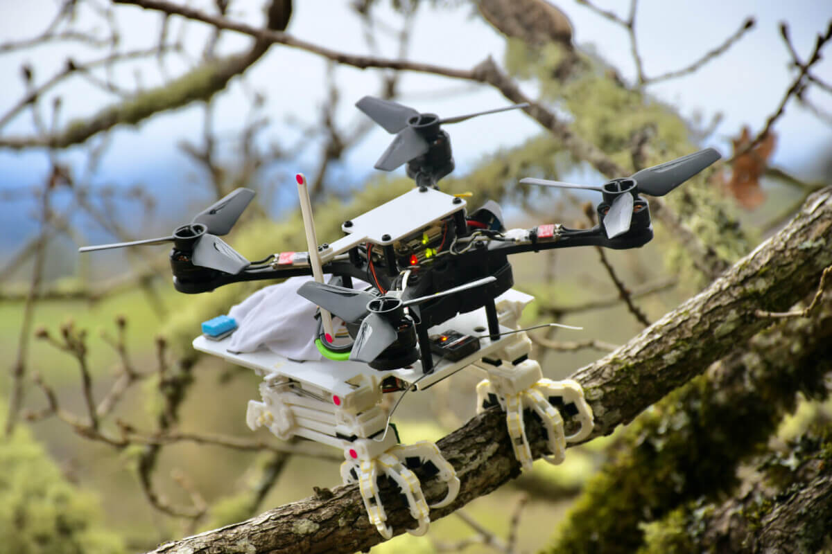 Robotic bird