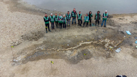 ichthyosaur fossil