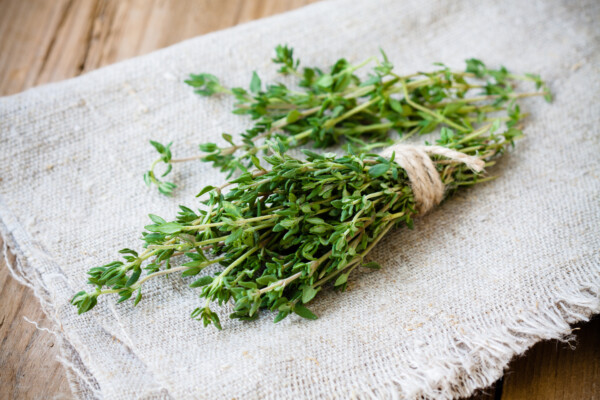 Thyme