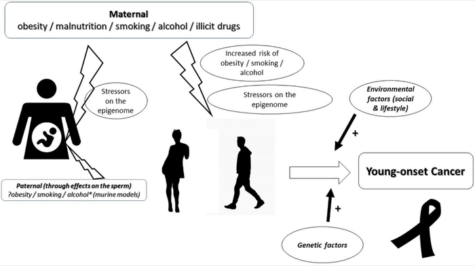 Cancer causes diagram