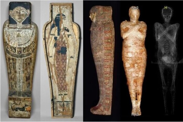 Mummy pregnant