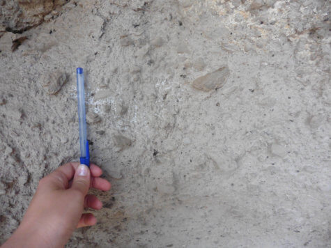 The Omo Kibish Formation in south western Ethiopia