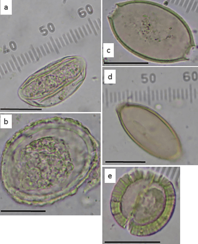 parasites