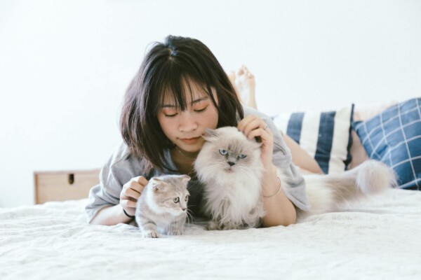pet owner cats