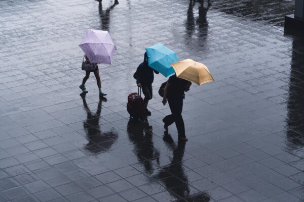 rain umbrellas