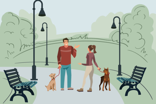 Man and woman walking dogs, meeting, dating