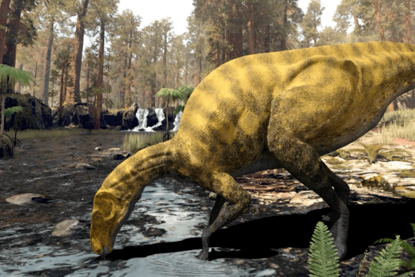 Portellsaurus sosbaynat