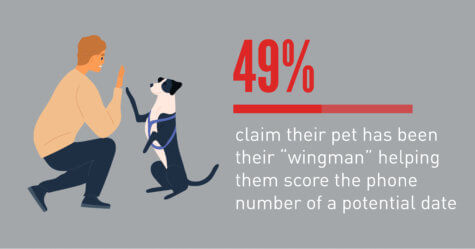 pet parents dating