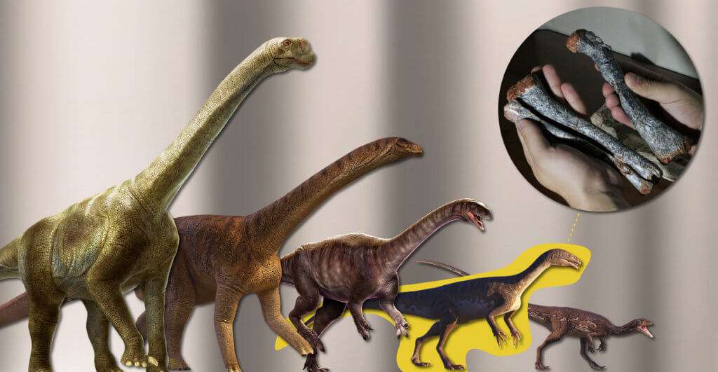Evolution of body size in sauropodomorph 