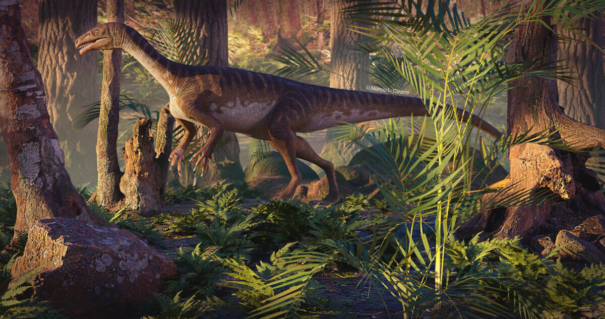 New dinosaur