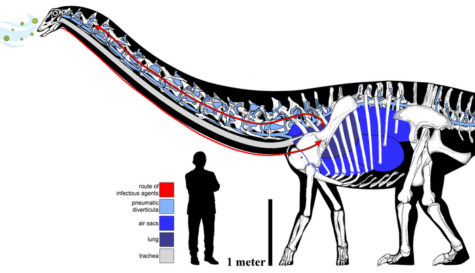 dinosaur sore throat