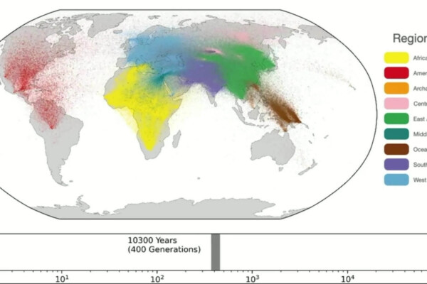 World's Biggest Family Tree