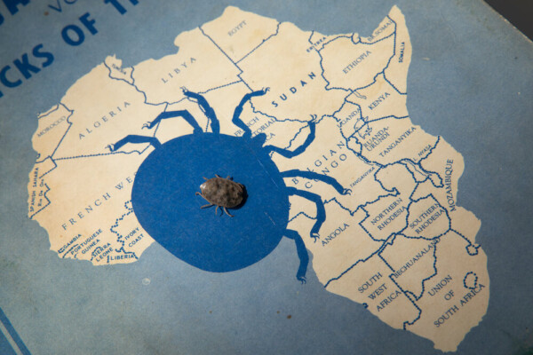 tick africa