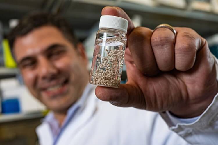 Rice cancer implant