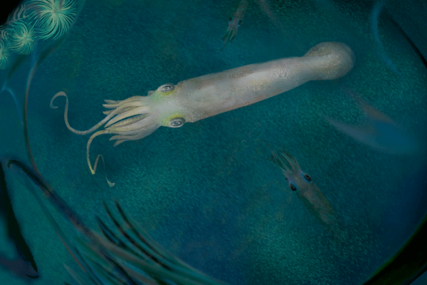 Vampyropod